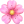 꽃