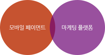 모바일 페이먼트, 마케팅 플랫폼