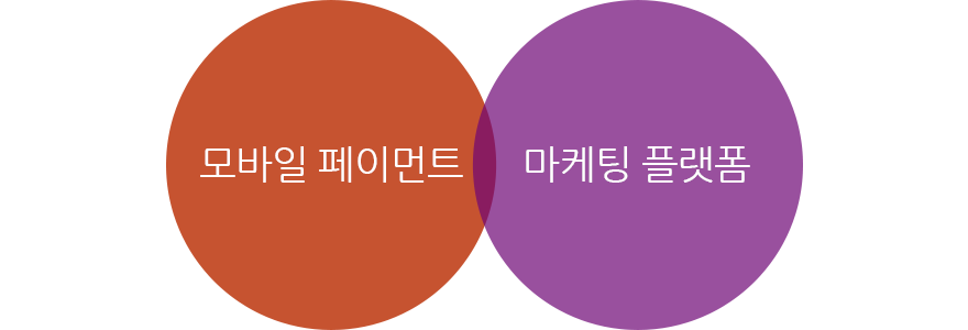 모바일 페이먼트, 마케팅 플랫폼