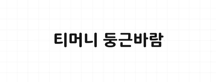 티머니 둥근바람 ExtraBold