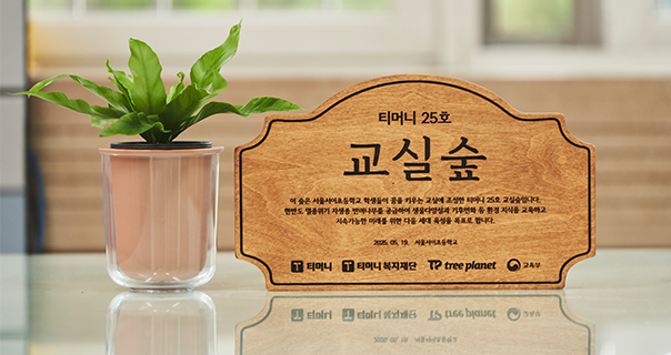 티머니 25호 교실숲